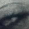 dianebecker721